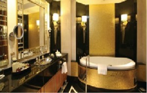 Realty-Access-India-Goa-Investment